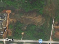 湘江西岸的青绿道场 长沙岳麓雷锋大道苗木租赁业的春天