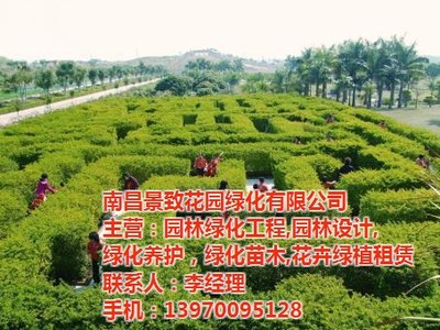青山湖区园林绿化苗木租赁，一键解锁“花园工厂”新美学
